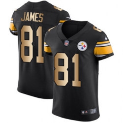Nike Steelers #81 Jesse James Black Team Color Mens Stitched NFL Elite Gold Jersey Nike Steelers #81 Jesse James Black Team Color Mens Stitched NFL Elite Gold Jersey