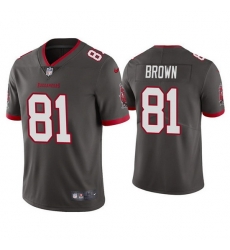 Youth Tampa Bay Buccaneers 81 Antonio Brown Grey Vapor Untouchable Limited Stitched Jersey 