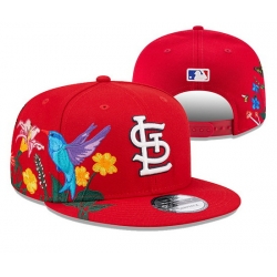 Arizona Cardinals Snapback Cap 24E11