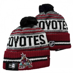 Arizona Coyotes Beanies 002