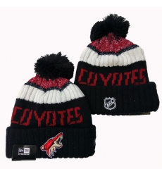 Arizona Coyotes NHL Beanies 001