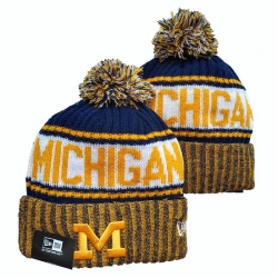 NCAA Beanies 029