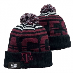 NCAA Beanies 049